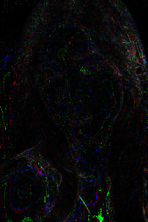 def_RTX_4060L_00006.png def_RTX_4060L_00006.png